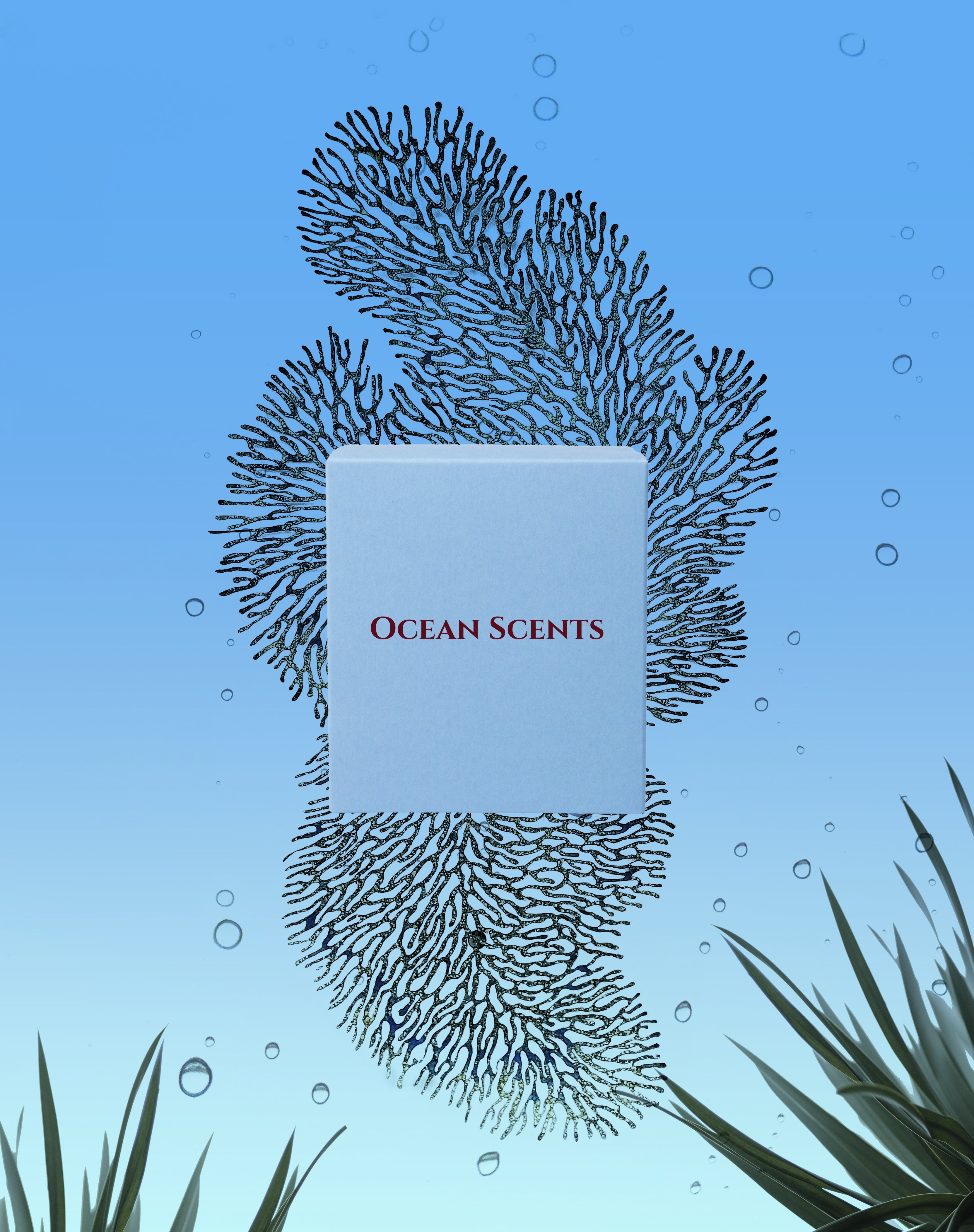 Ocean Scents