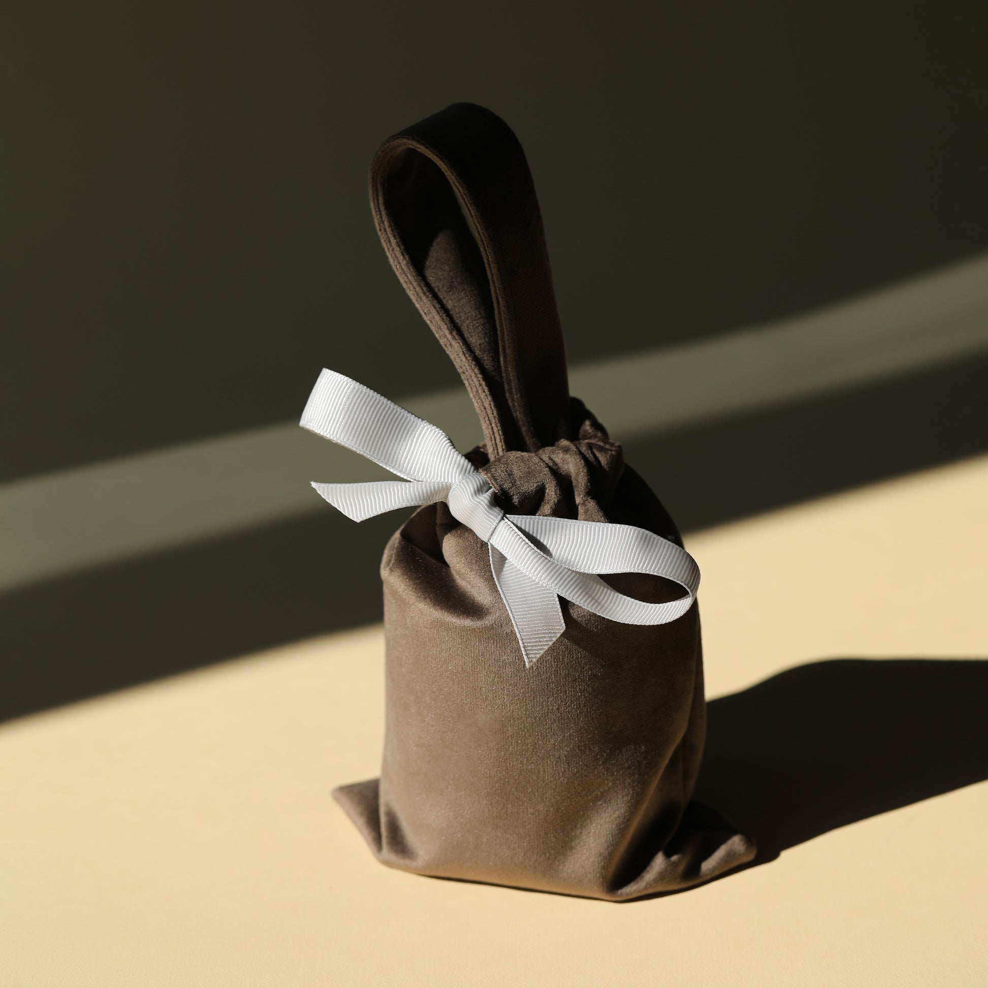 Velvet Drawstring Pouch Luxury Gift Bags Detail View